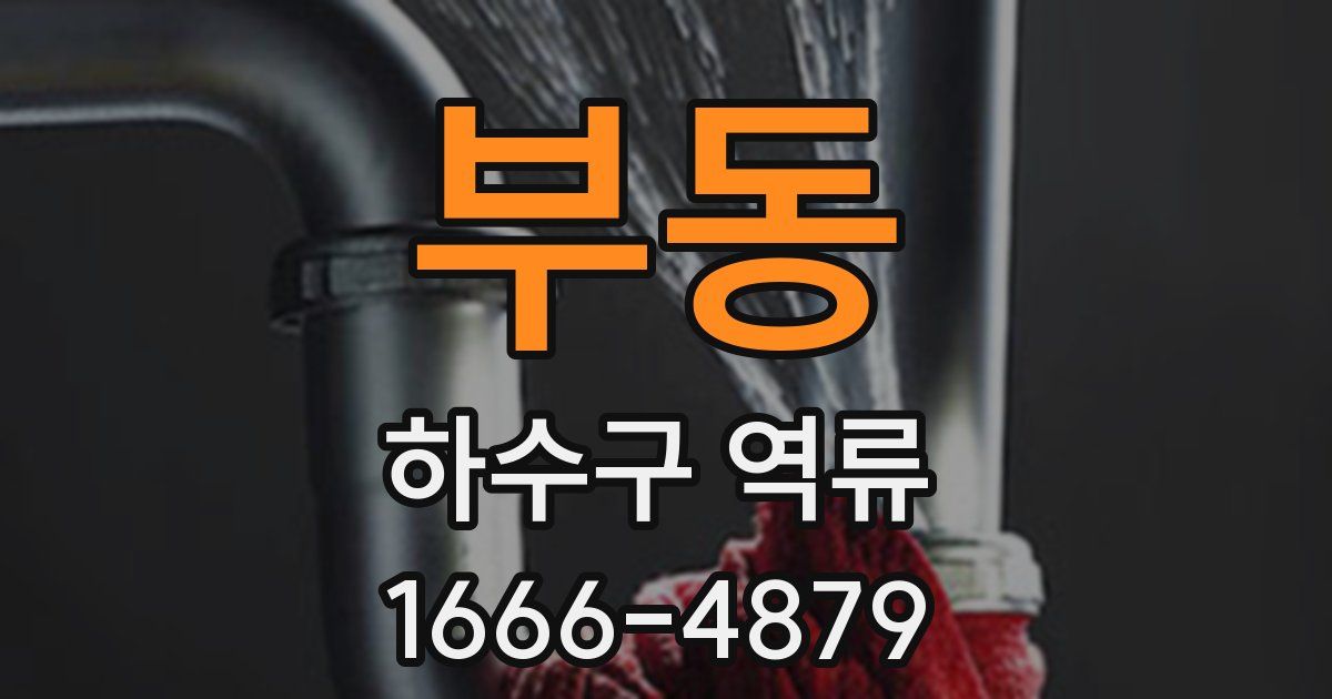 부동 하수구 역류