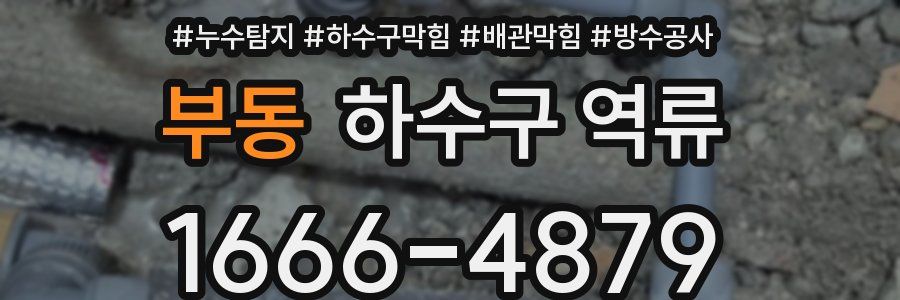 부동 하수구 역류