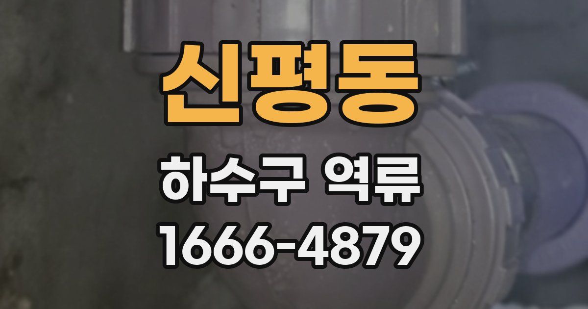 신평동 하수구 역류