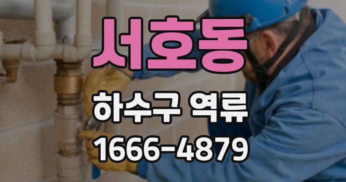 서호동 하수구 역류