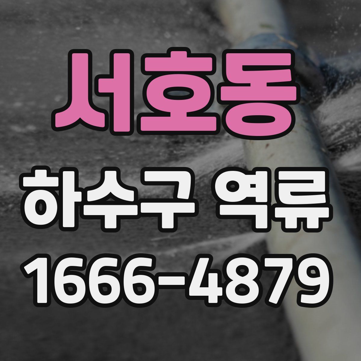 서호동 하수구 역류
