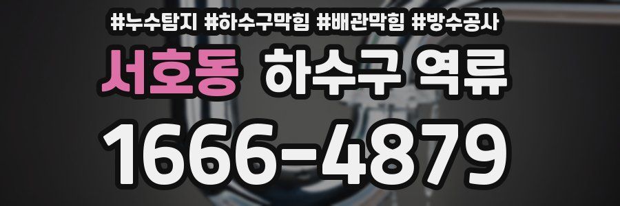 서호동 하수구 역류