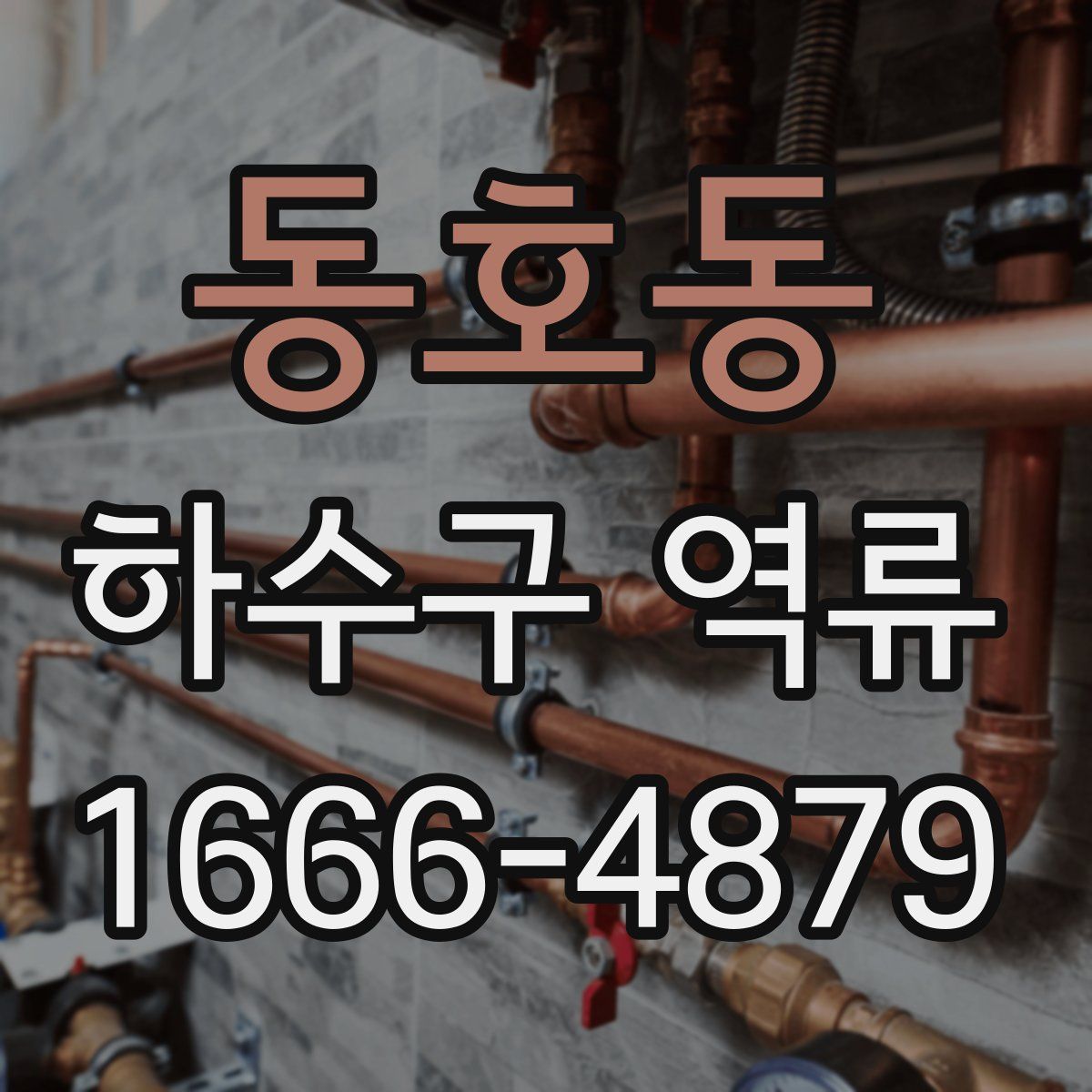동호동 하수구 역류