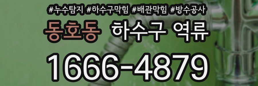 동호동 하수구 역류