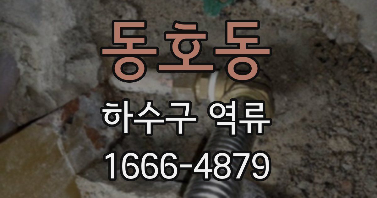 동호동 하수구 역류