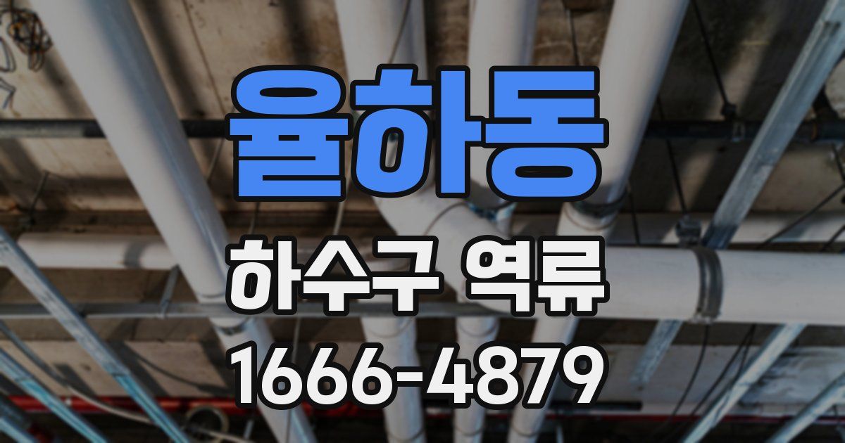 율하동 하수구 역류