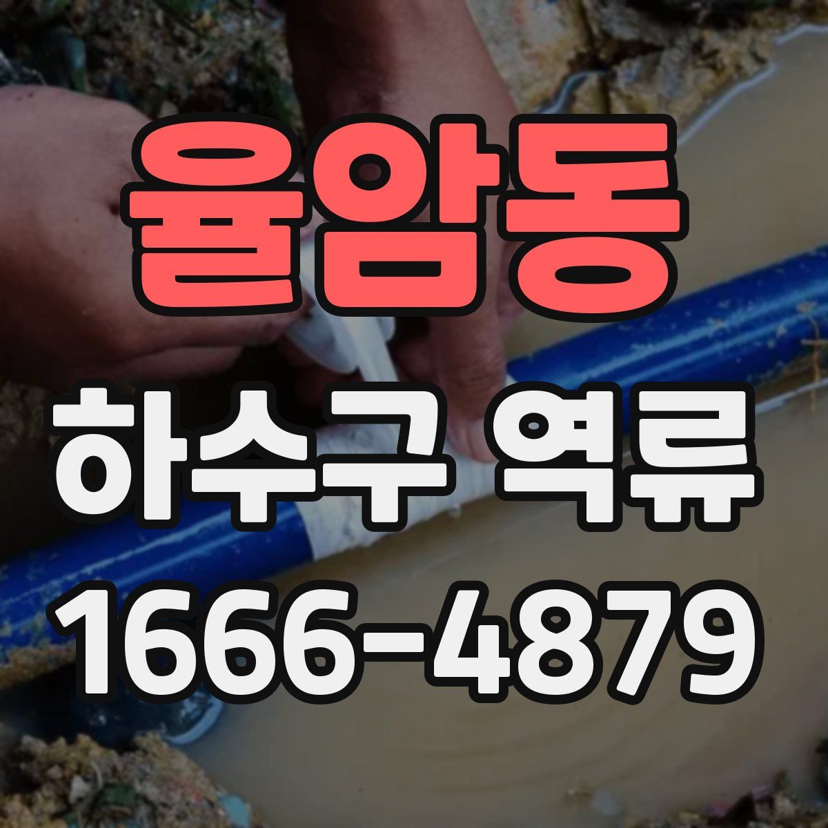 율암동 하수구 역류