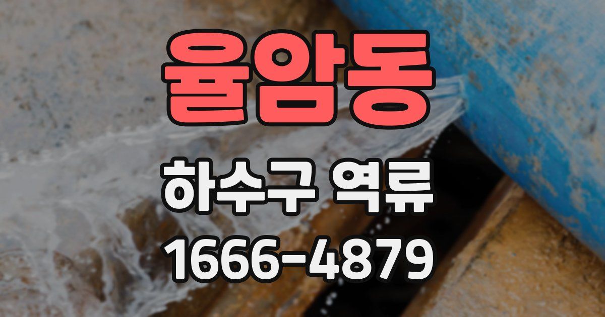 율암동 하수구 역류
