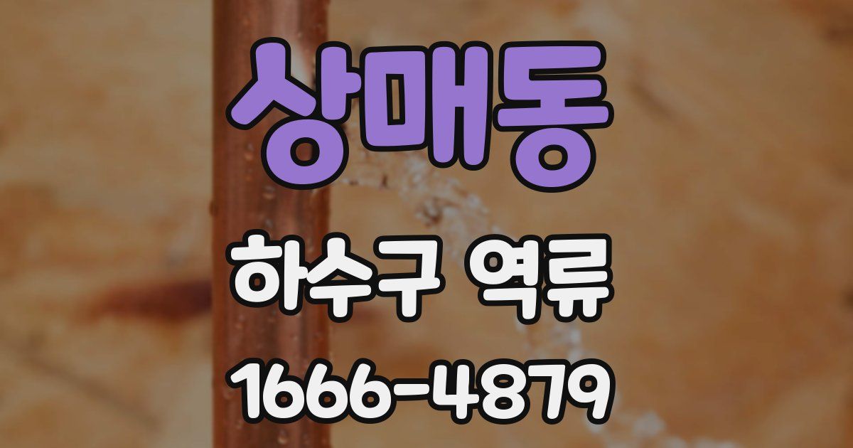 상매동 하수구 역류