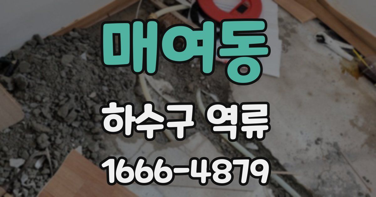 매여동 하수구 역류
