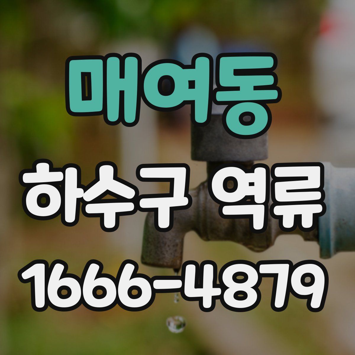 매여동 하수구 역류
