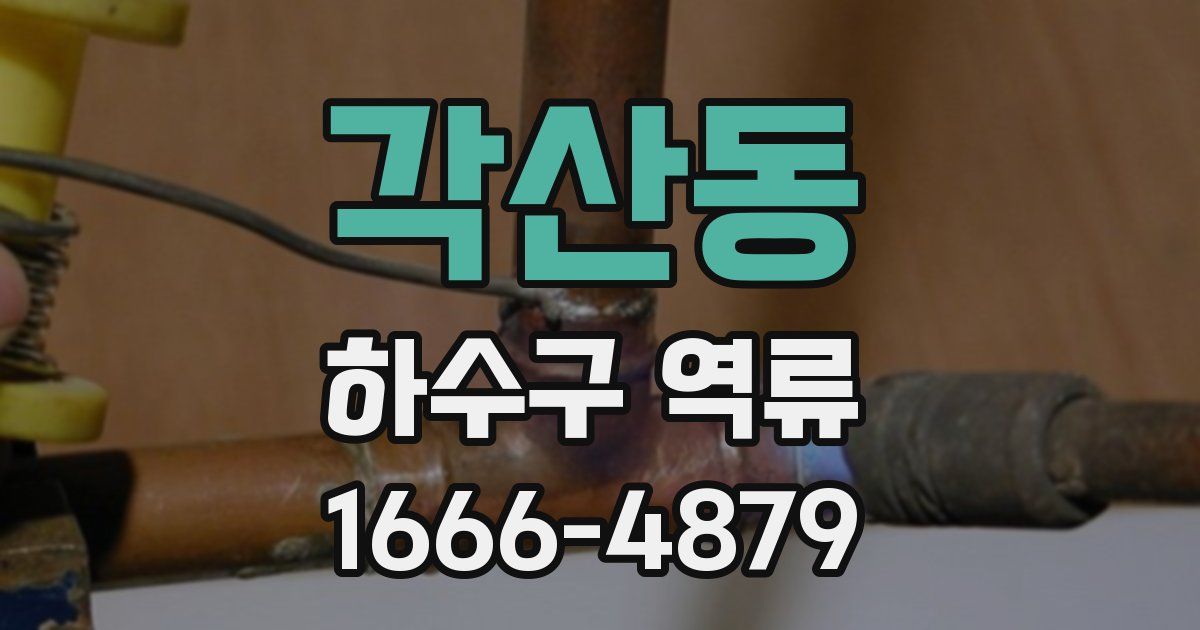각산동 하수구 역류