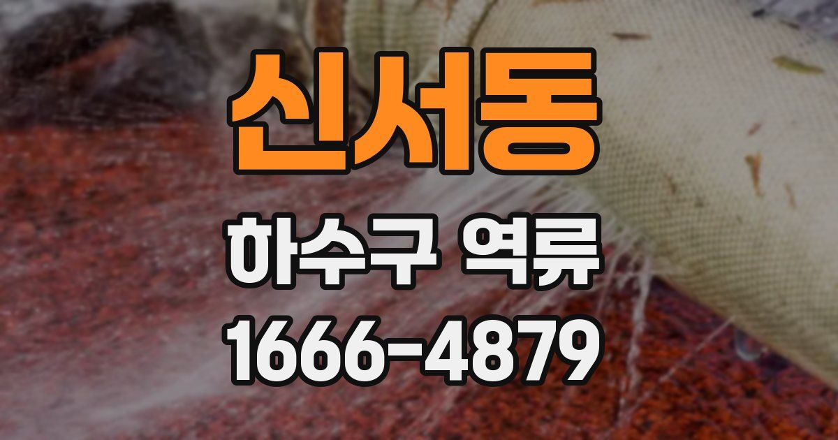 신서동 하수구 역류