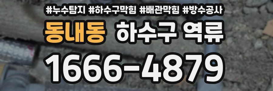 동내동 하수구 역류