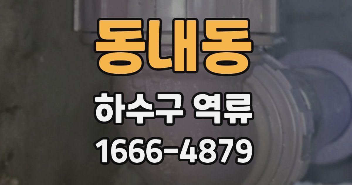 동내동 하수구 역류