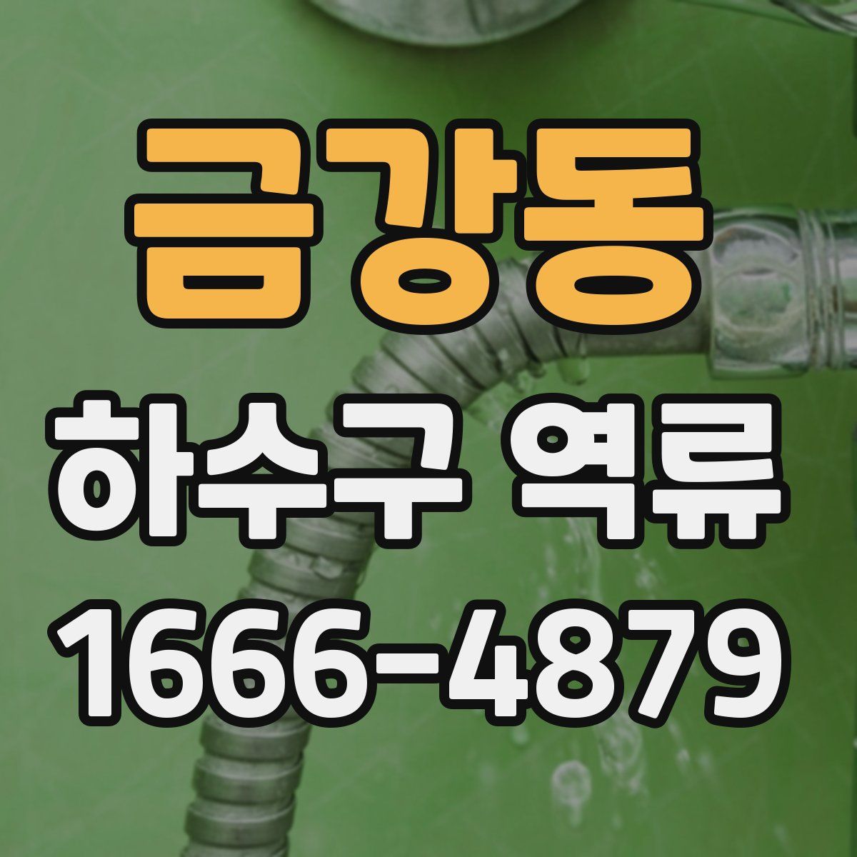금강동 하수구 역류