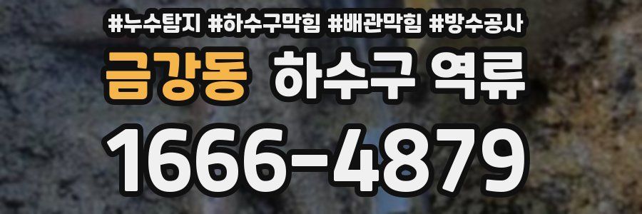 금강동 하수구 역류