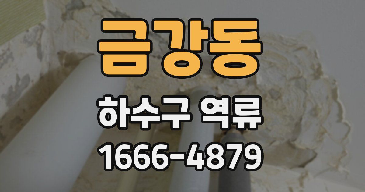 금강동 하수구 역류