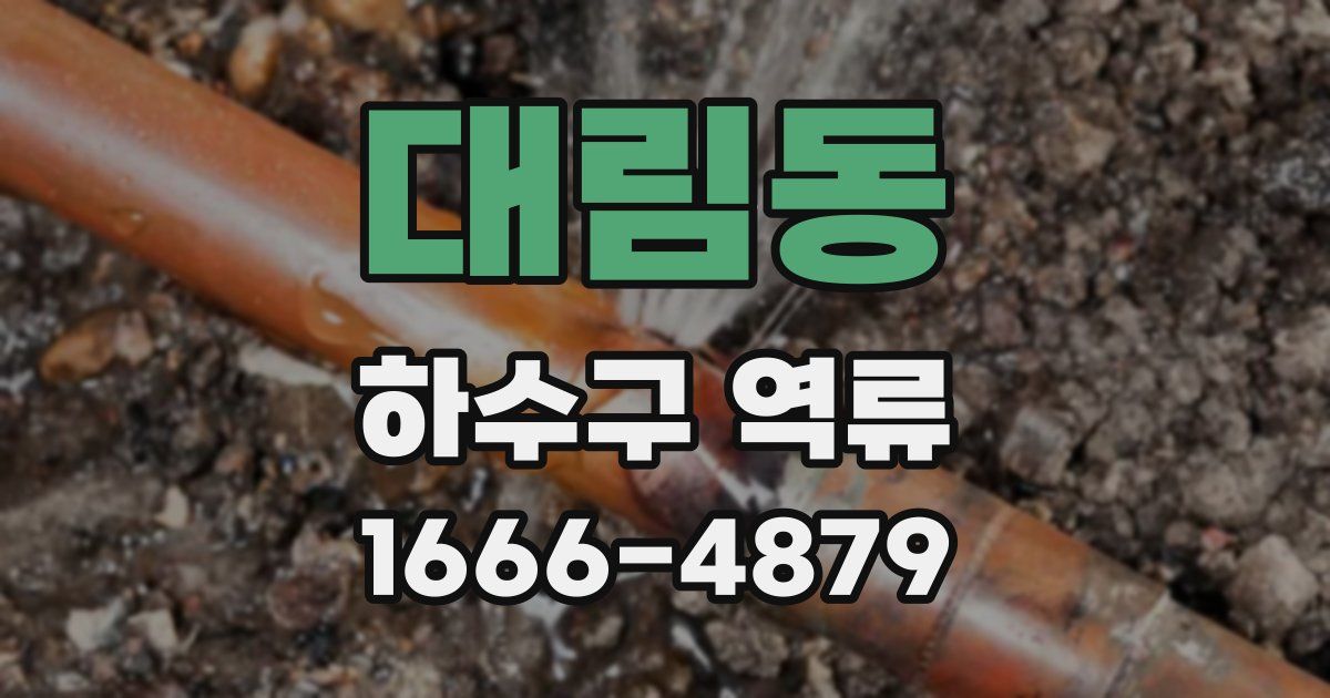대림동 하수구 역류