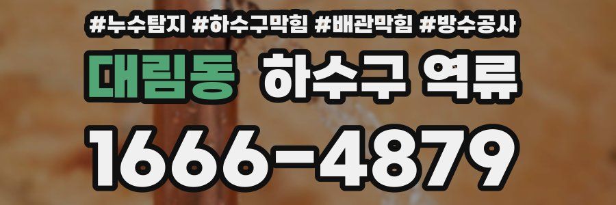 대림동 하수구 역류