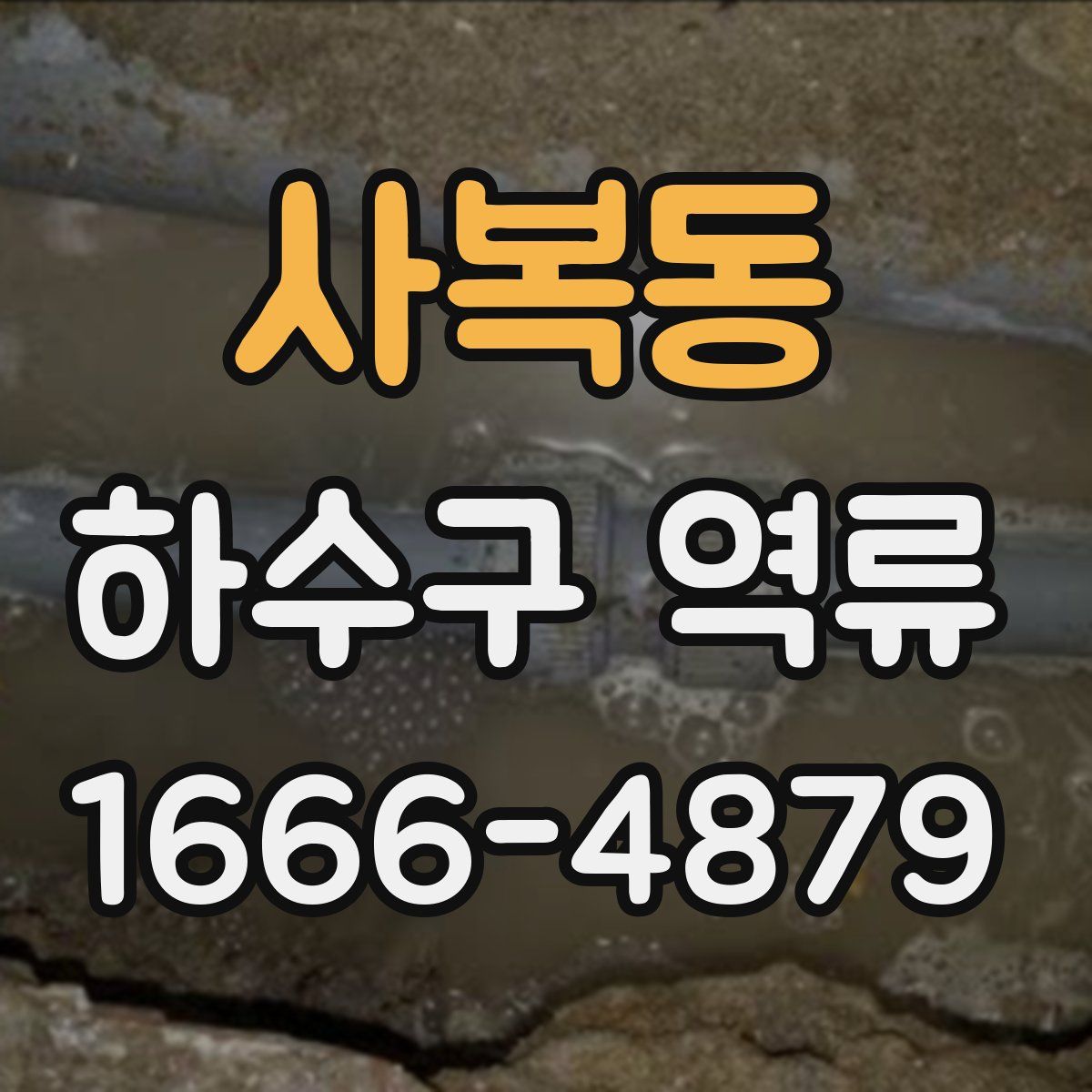 사복동 하수구 역류