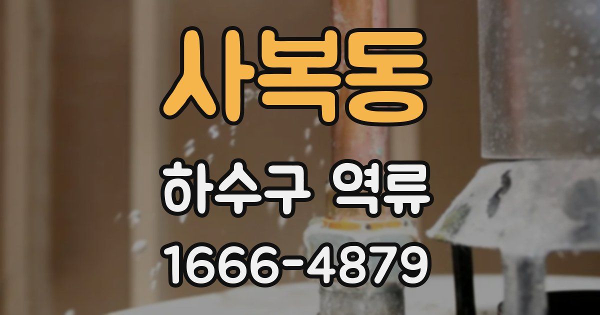 사복동 하수구 역류