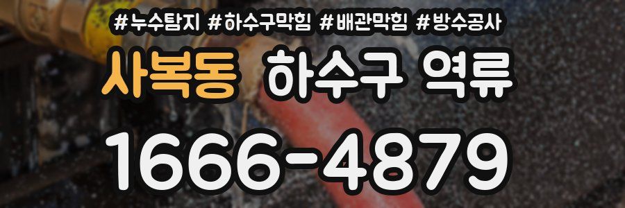 사복동 하수구 역류
