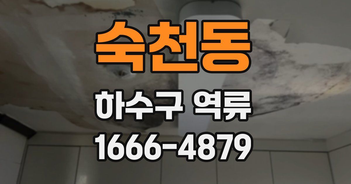 숙천동 하수구 역류