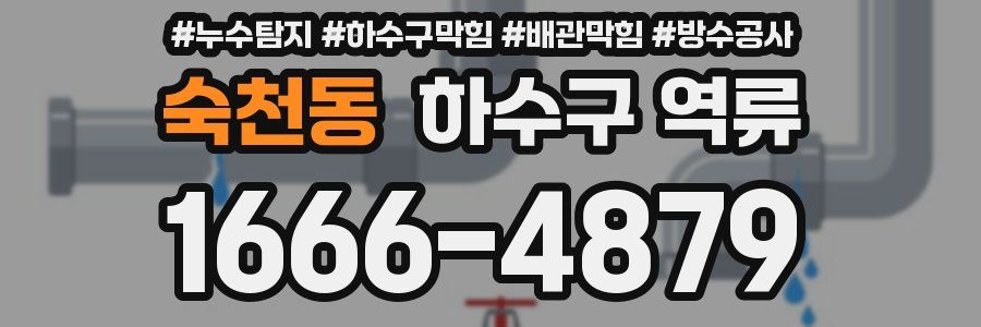숙천동 하수구 역류