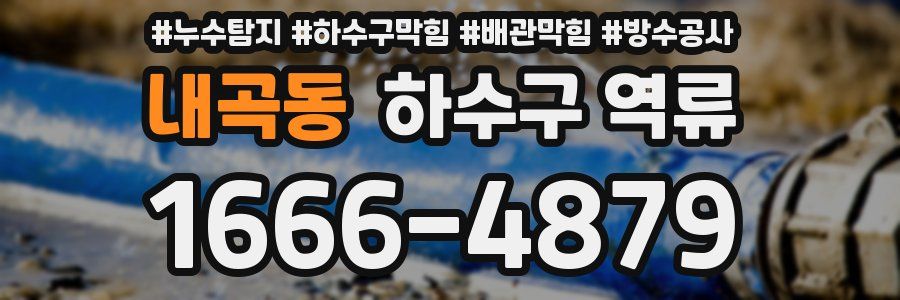 내곡동 하수구 역류