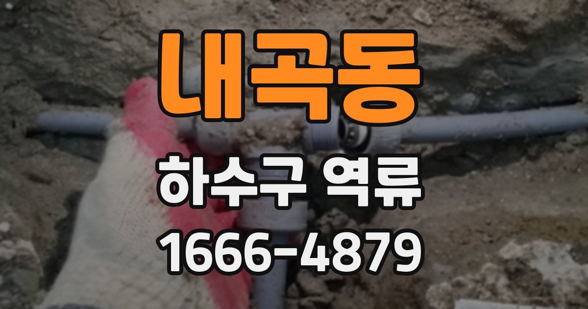 내곡동 하수구 역류