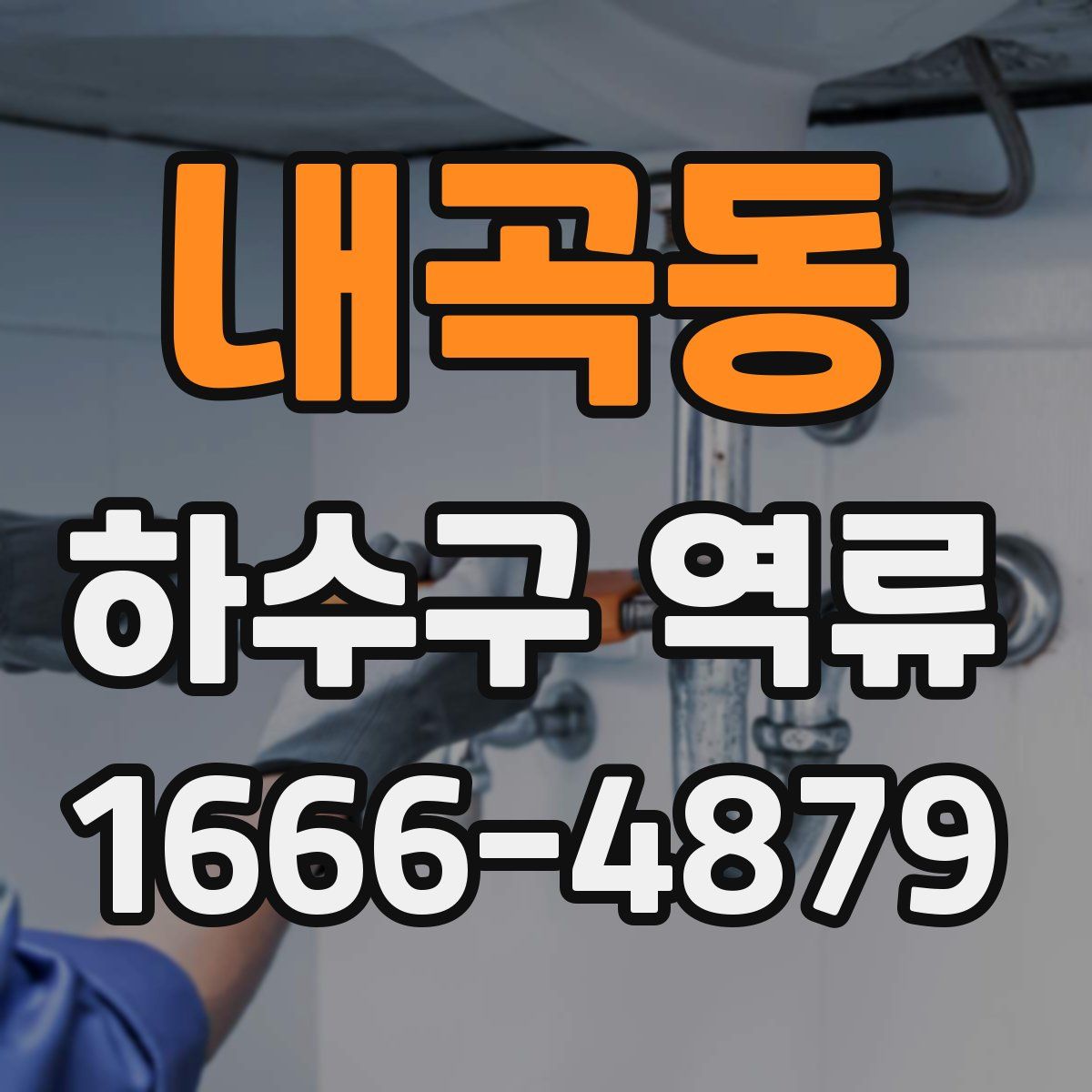 내곡동 하수구 역류