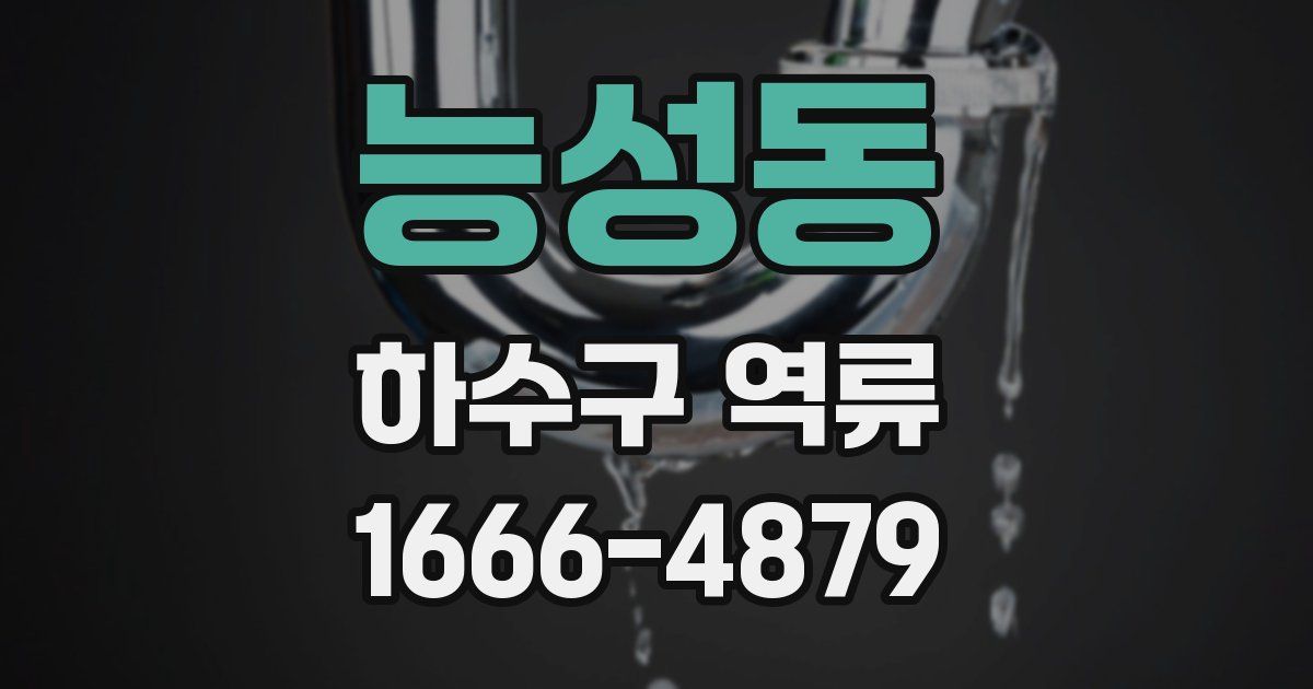 능성동 하수구 역류