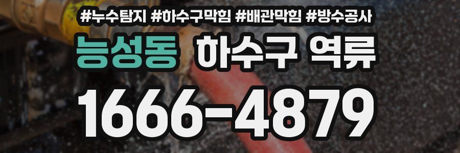 능성동 하수구 역류