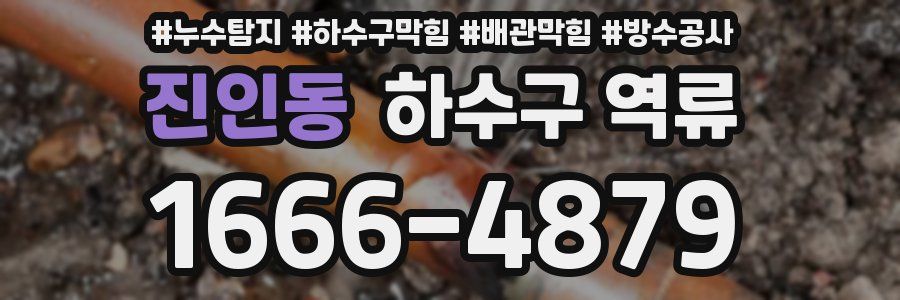 진인동 하수구 역류