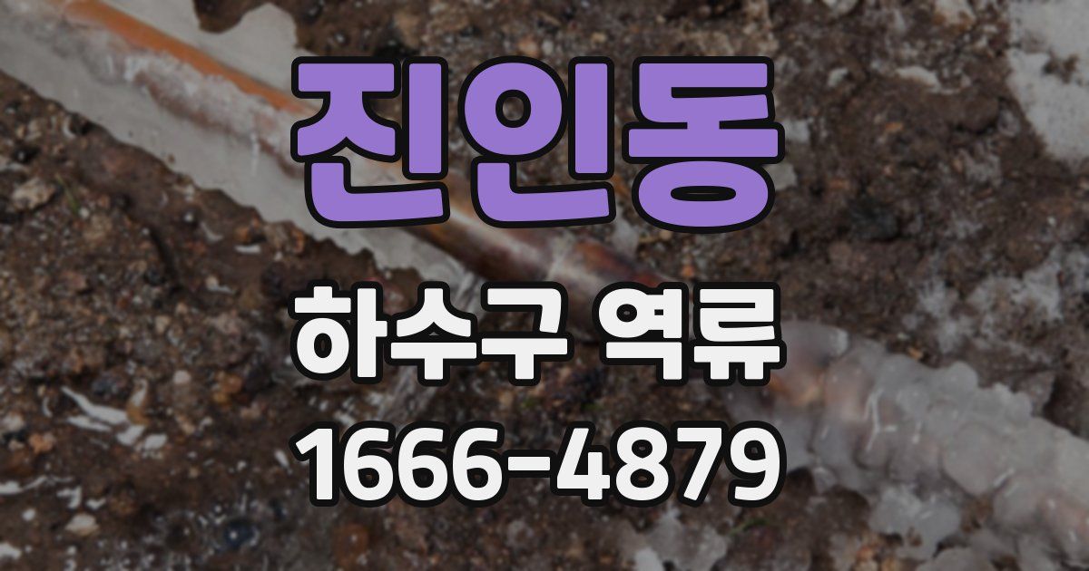 진인동 하수구 역류