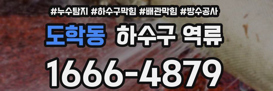 도학동 하수구 역류