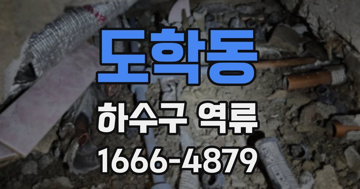 도학동 하수구 역류