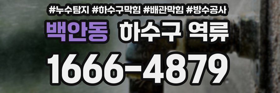 백안동 하수구 역류