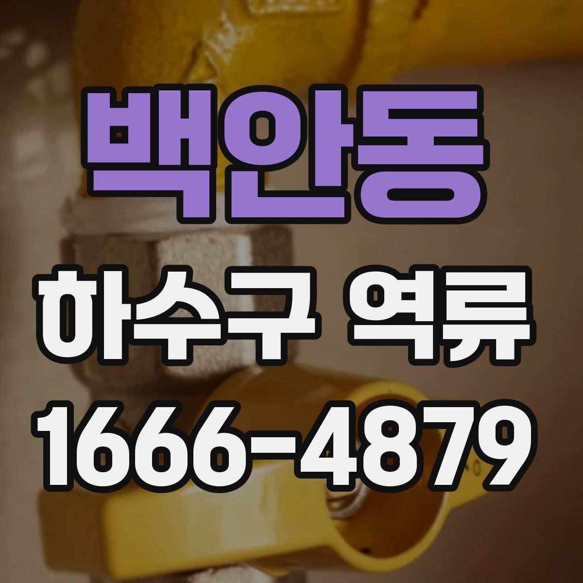 백안동 하수구 역류