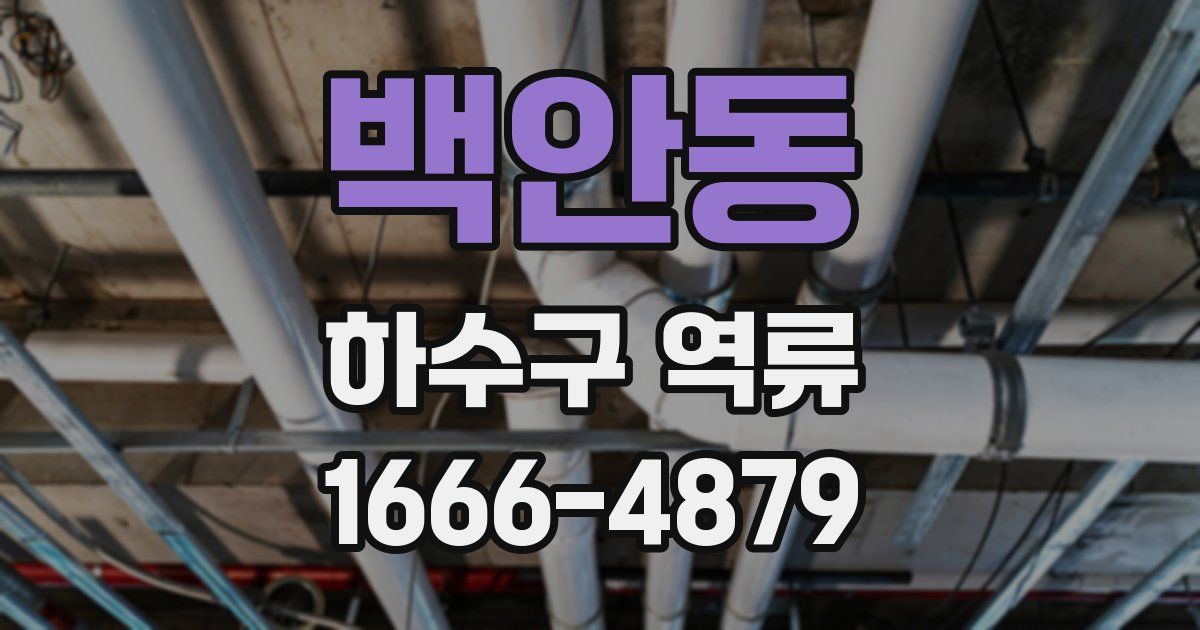 백안동 하수구 역류