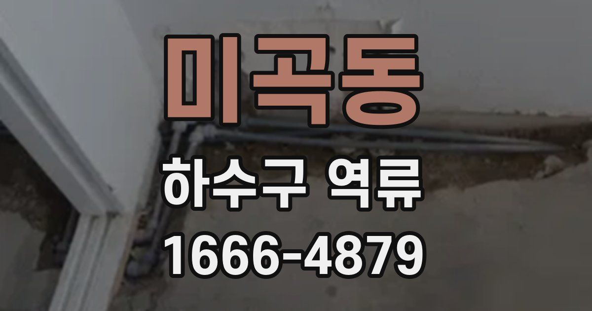 미곡동 하수구 역류