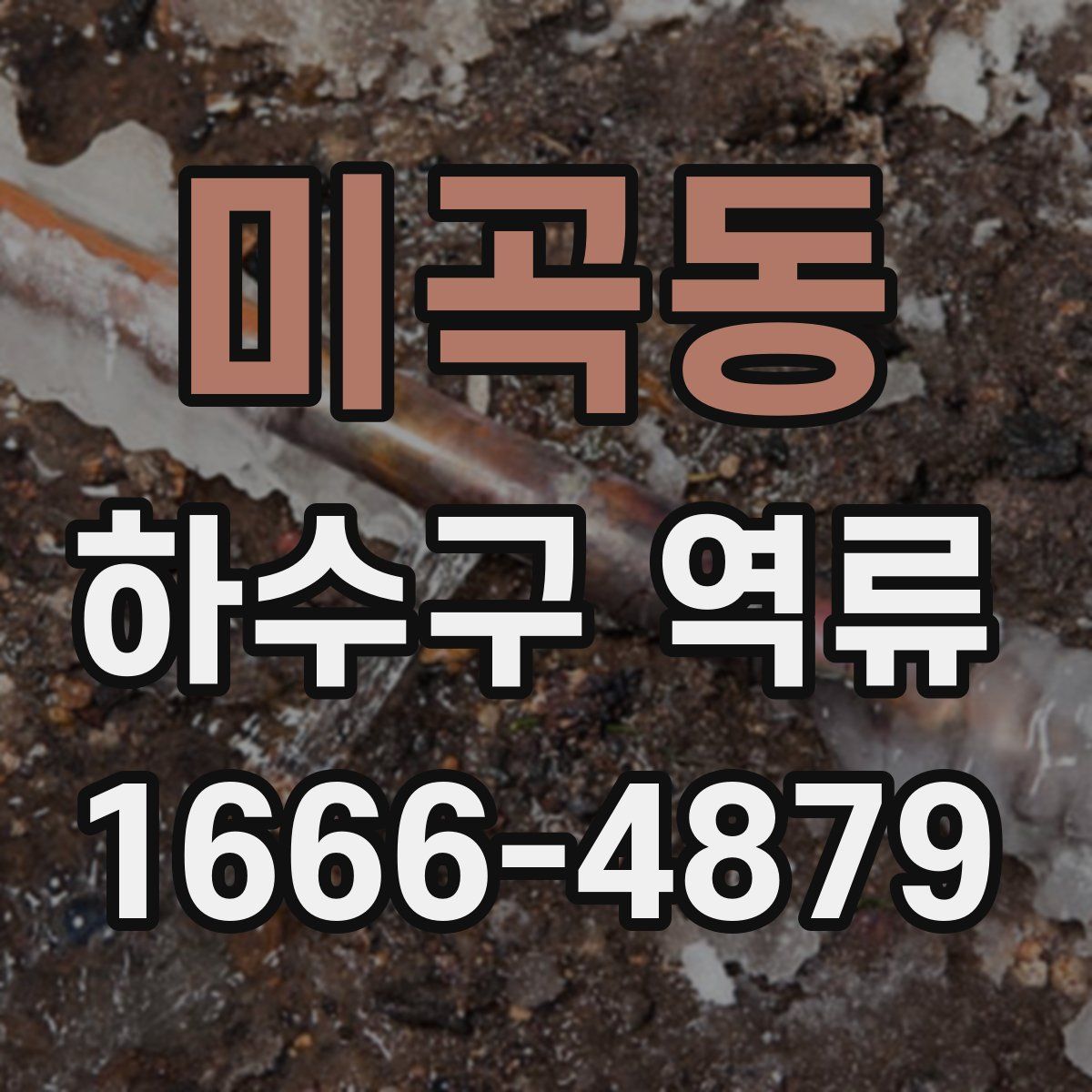 미곡동 하수구 역류