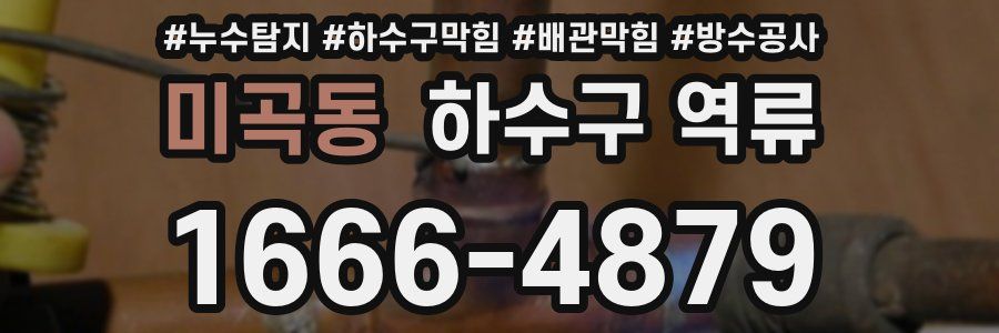 미곡동 하수구 역류