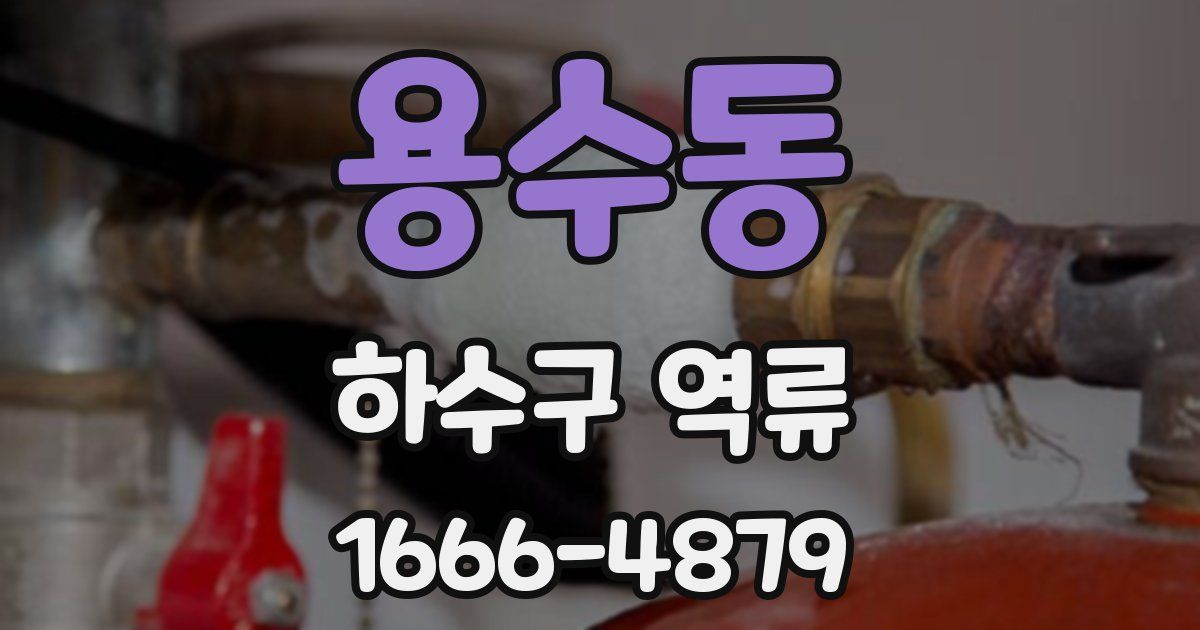 용수동 하수구 역류