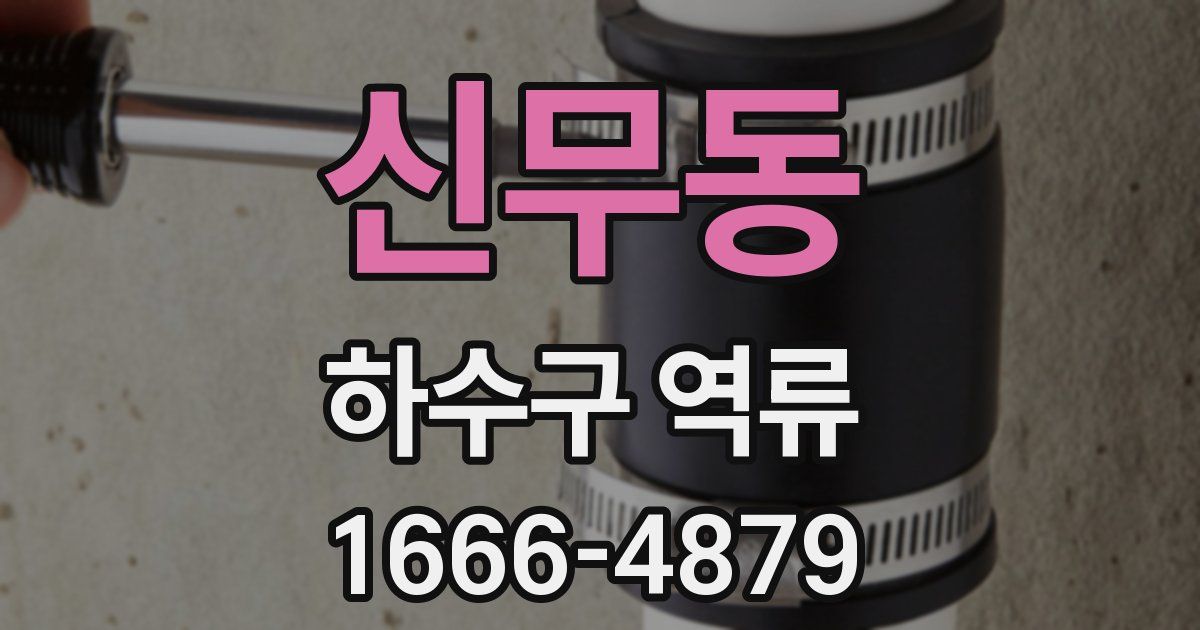 신무동 하수구 역류