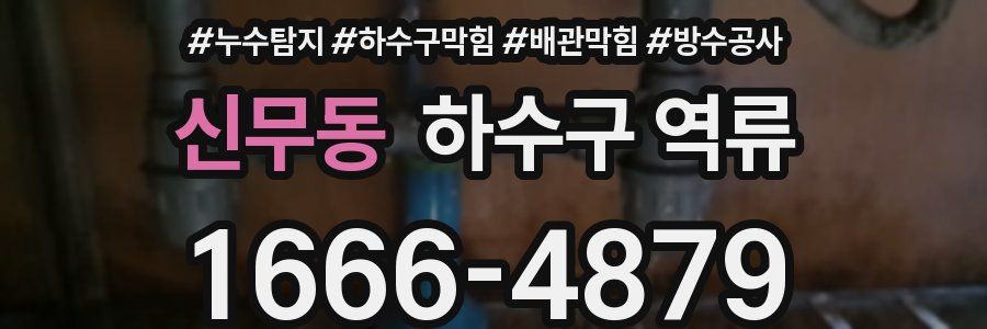 신무동 하수구 역류