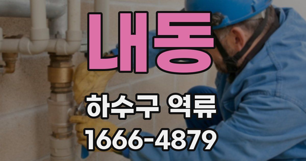 내동 하수구 역류