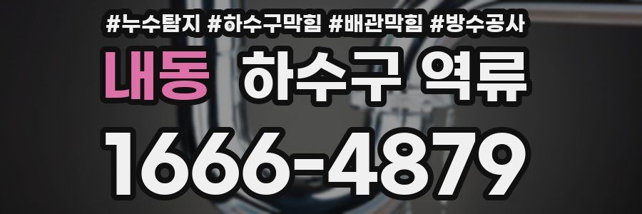 내동 하수구 역류