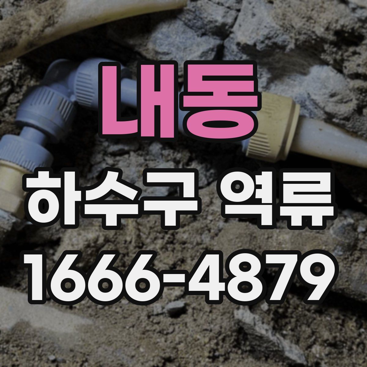 내동 하수구 역류